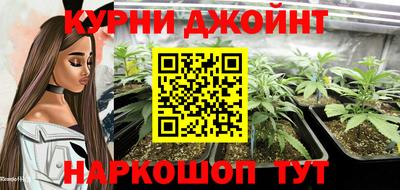 прущие грибы Краснознаменск