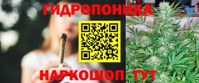прущие грибы Краснознаменск