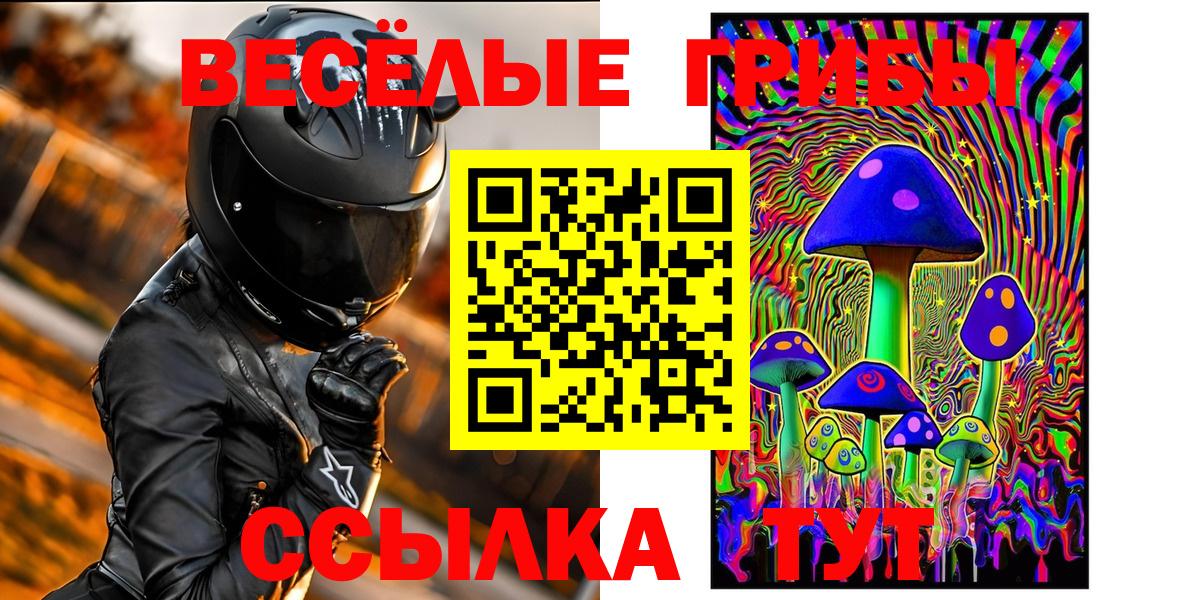 Галлюциногенные грибы Psilocybe Камышлов
