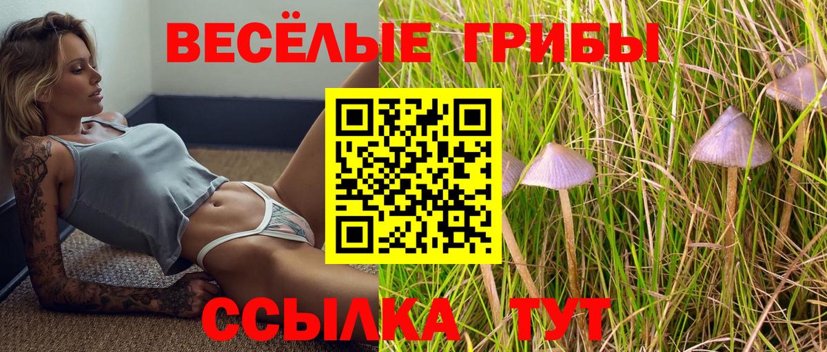 Галлюциногенные грибы Magic Shrooms  Вход с VPN  Камышлов 